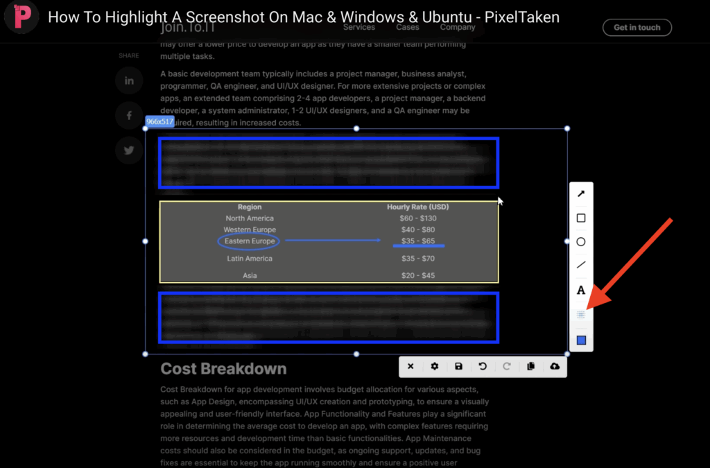 blurred text highlighted on a black background due to Ubuntu screenshot tool PixelTaken